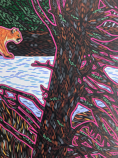 ABOVE THE CONFLUENCE