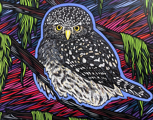 PYGMY OWL *sold*