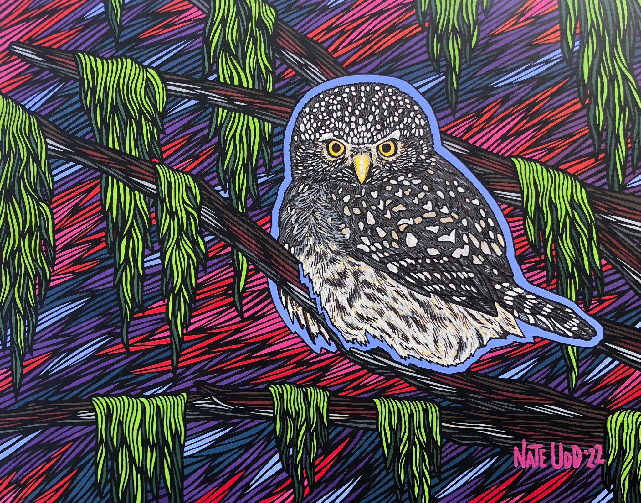 PYGMY OWL *sold*