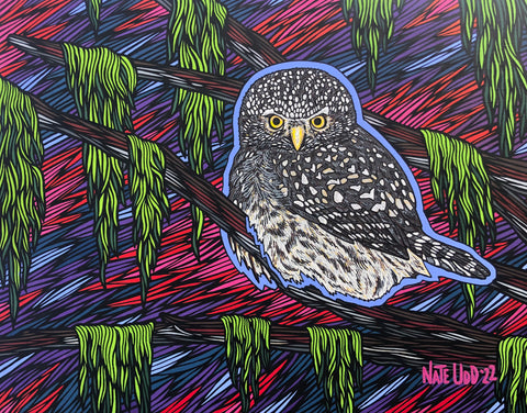 PYGMY OWL *sold*