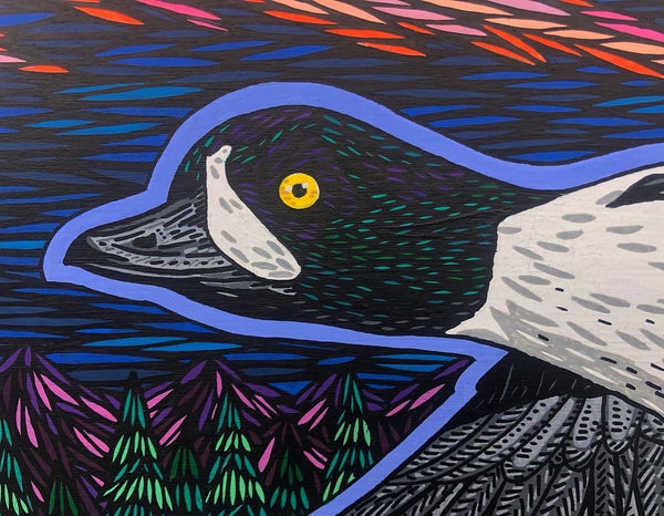 BARROW’S GOLDENEYE- PRINT